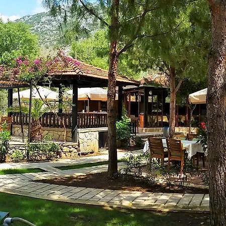 Selimhan 3* السليمية