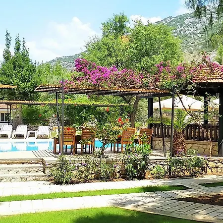 Selimhan Selimiye (Aegean)