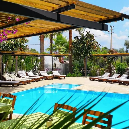 Selimhan 3* السليمية